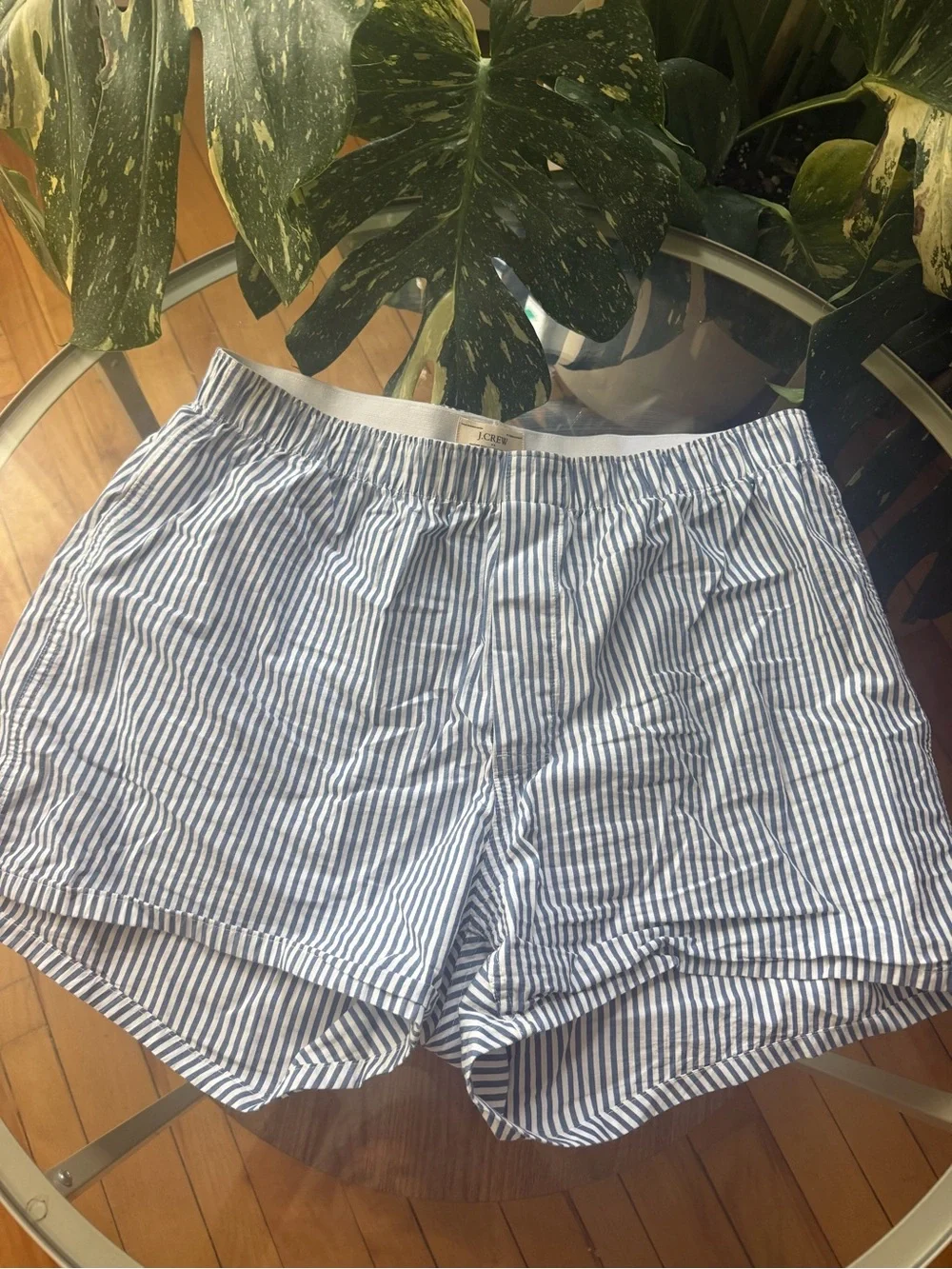 J. Crew Blue and White Seersucker Stripe Men’s Shorts